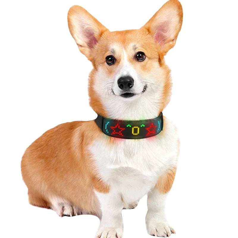 ComfyCar™ LED Dog/Cat Collars USB Rechargeable