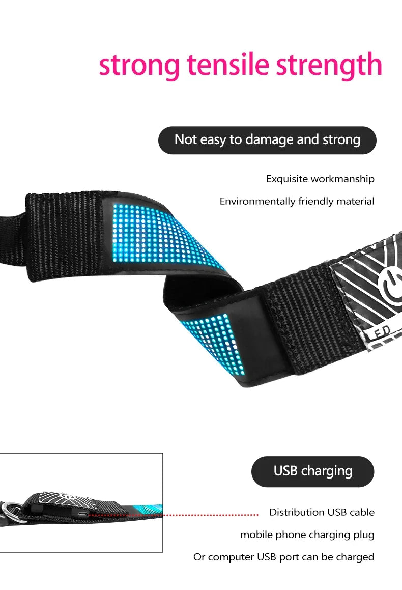 ComfyCar™ LED Dog/Cat Collars USB Rechargeable